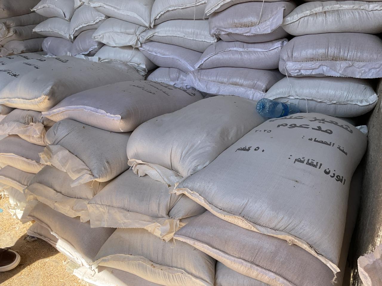 مادبا: ضبط تاجر يبيع الشعير المدعوم في السوق السوداء
