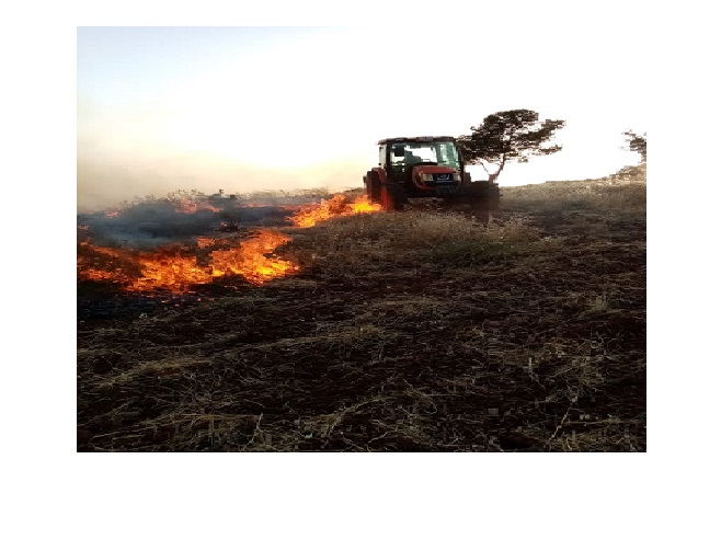مزارعون في جرش يشكون الحرائق المفتعلة