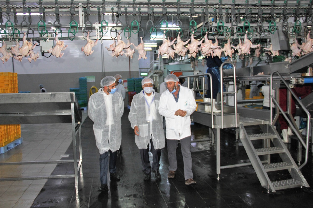 الجغبير: المصانع الاردنية قادرة على تغطية احتياجات السوق المحلي من الدجاج والبيض