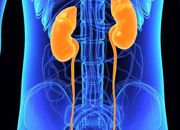 Kidney disease can lead to diabetes, not just the other way around