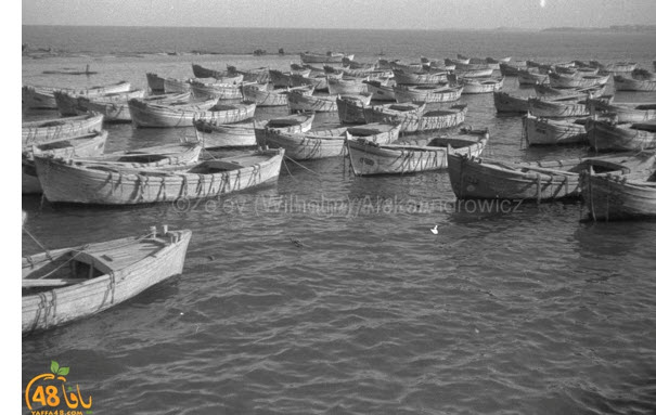 يعود تاريخها لسنوات الثلاثينات.. صور نادرة لميناء يافا