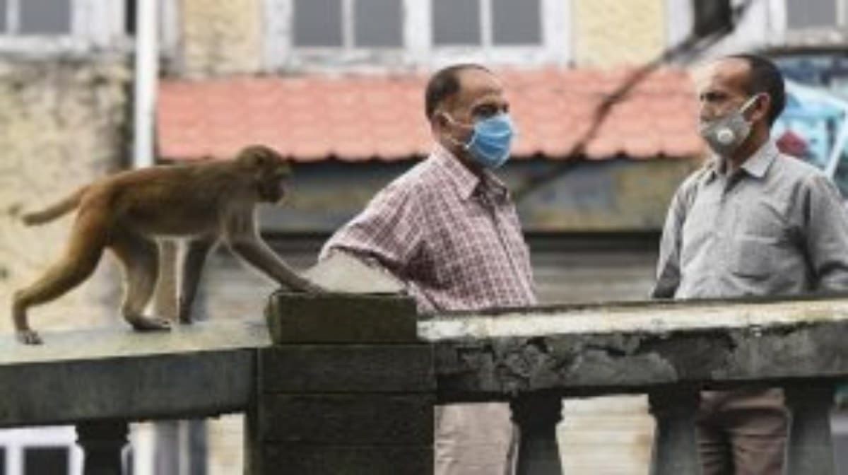 تسجيل أول حالة وفاة بمرض جدري القرود