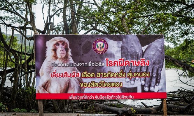 الصحة العالمية: 257 إصابة جديدة مؤكد بجدري القردة