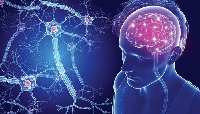 علماء روس يبتكرون طريقة لاستعادة خلايا الدماغ