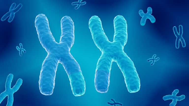 العلماء يكشفون عن كروموسومات يتم "إسكاتها