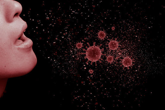 دراسة: البشر ينقلون فيروسات إلى الحيوانات أكثر مما نلتقط منها