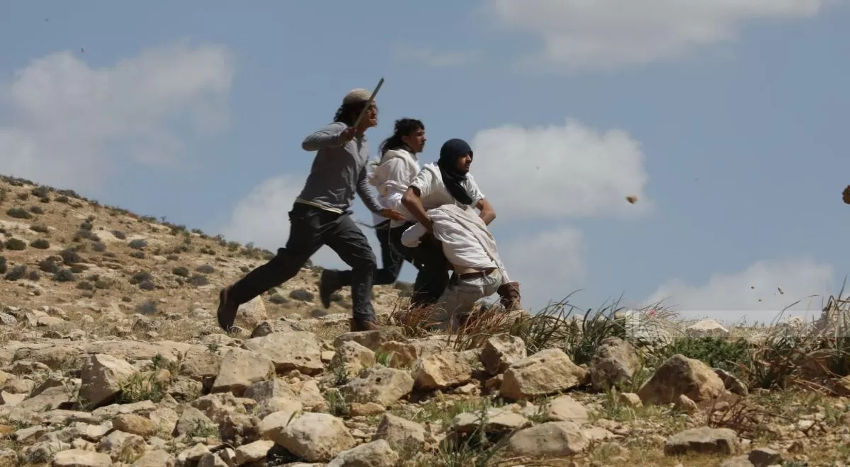 مستعمرون يعيثون فسادًا في الخليل.. اعتداءات على مواطنين وممتلكاتهم وسرقة أراضٍ