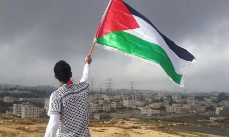 في ذكرى النكبة الـ77.. أرقام مروعة تكشف حجم معاناة الفلسطينيين المستمرة