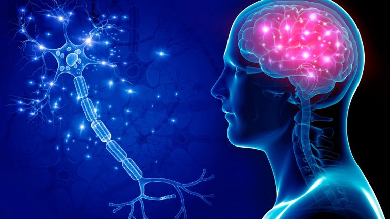 هل يخدعنا دماغنا؟ الإنسان يرى العالم كما كان قبل 15 ثانية