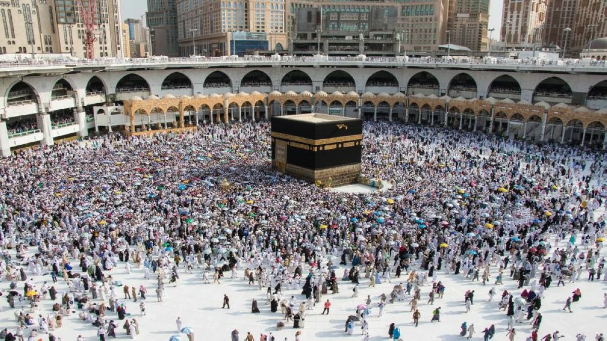 الأوقاف: تفويج قرابة 1500 حاج من المدينة المنورة إلى مكة المكرمة
