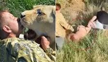 لحظة رعب.. فلاح استيقظ من نومه ليجد أسداً فوق رأسه!