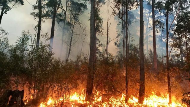 السيطرة على حريق في إربد التهم نحو 30 دونمًا من الأعشاب الجافة