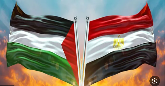 الكاتب ابو طير : غير المقبول لأي قوّة سياسية أن تنظم مظاهرات ضد مصر