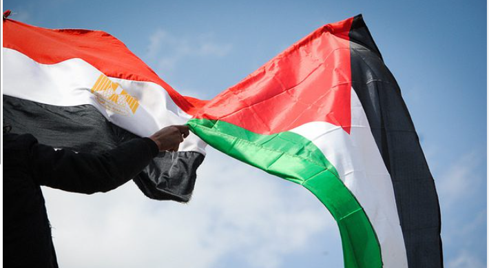 وسط المشهد المؤلم لغزة لم تقف القاهرة مكتوفة الأيدي