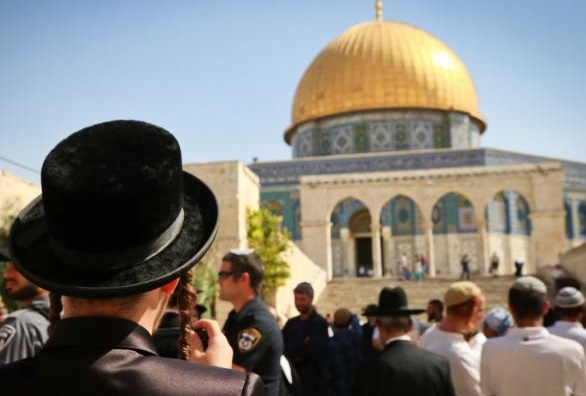 غداً.. "منظمات الهيكل" المزعوم تحشد لأضخم اقتحام للمسجد الأقصى منذ احتلاله في الـ 67