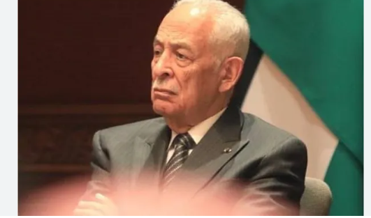 العيسوي يلتقي وفد الشبكة العربية للإبداع والابتكار