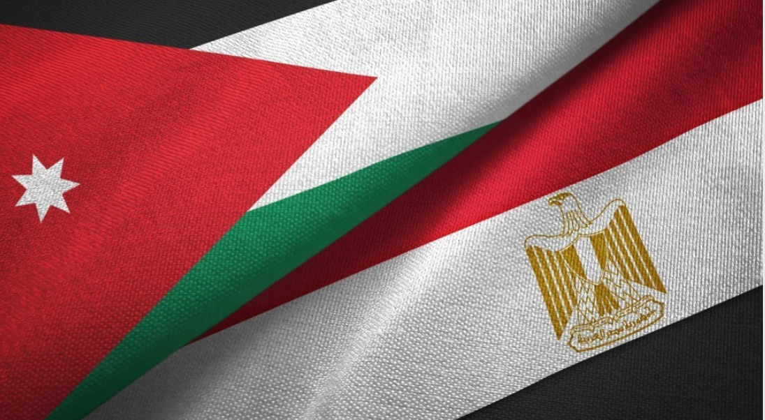 وزير خارجية مصر: تنسيق مصري أردني لعقد مؤتمر دولي لإغاثة غزة وإعادة إعمارها