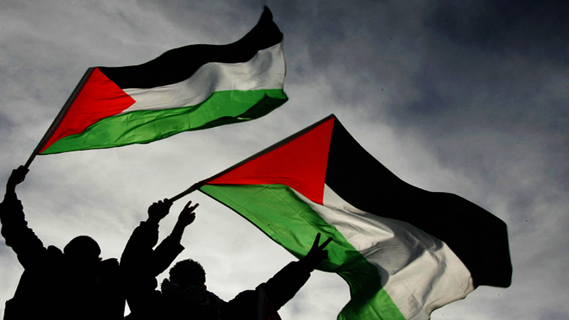 مجلس الجامعة العربية يدعم حصول فلسطين على العضوية الكاملة في الأمم المتحدة