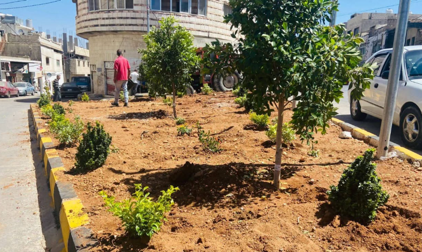 إنشاء جزيرة وسطية لتحسين حركة المرور في منطقة سوف بجرش