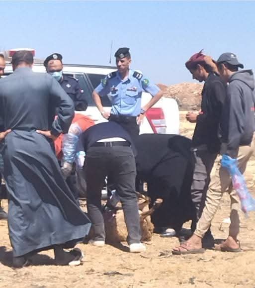 فريق مختص يتدخل بسرعة للتحقيق في نفوق حيوانات بمزرعة في الرمثا