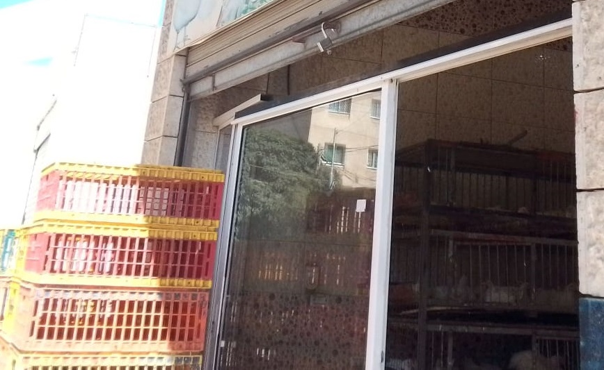 ضبط محلات تتلاعب بأسعار وأوزان الدواجن في مادبا 