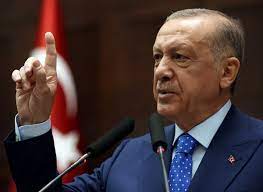 إردوغان يطلب من البرلمان التركي المصادقة على طلب انضمام فنلندا إلى الناتو وستولتنبرغ يرحب