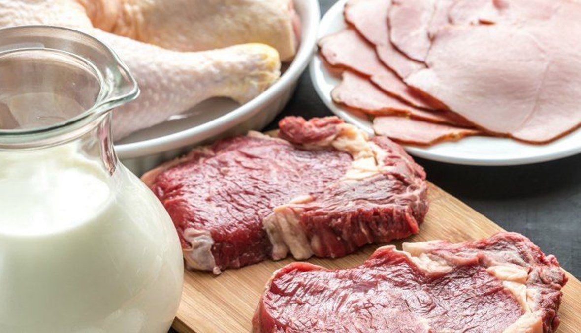 البدائل النباتية لمنتجات اللحوم والألبان..ما فوائدها الصحية؟