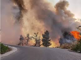 عجلون.. اندلاع حريق أشجار في منطقة الصفصافة الحرجية