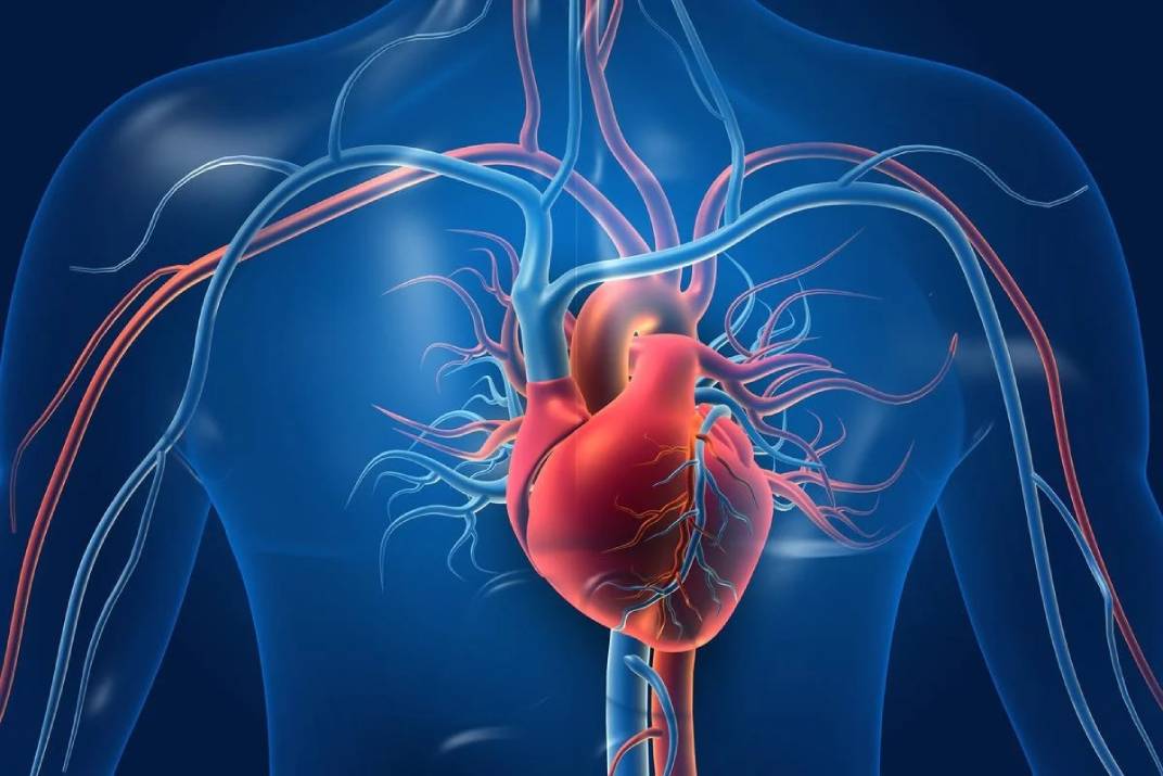 تقييم مخاطر أمراض القلب