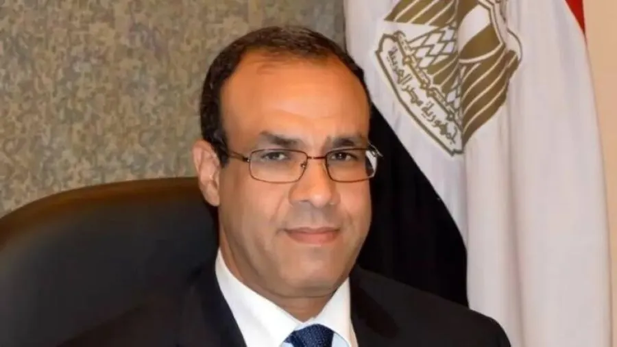 من هو المرشح الجديد لمنصب وزير الخارجية في مصر؟