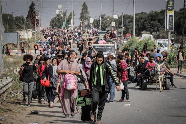 خبير يدعو إلى تشكيل "خلية سيادية" لمواجهة ضغوط رفض تهجير الفلسطينيين