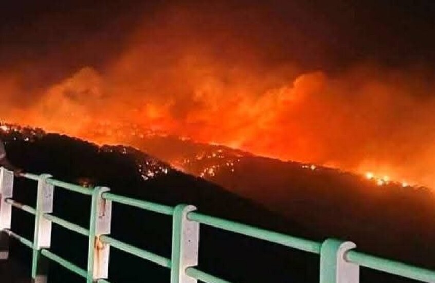 ليبيا.. السيطرة على حرائق وادي الكوف شرقي البلاد وتحذيرات من تجددها